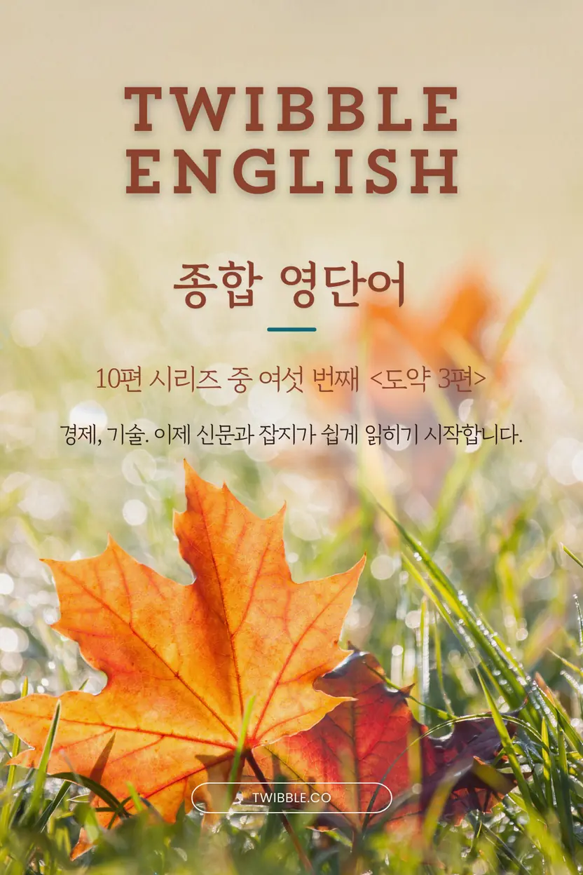 twibble 종합 영단어 (중급) 3
