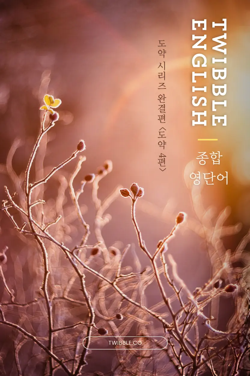 twibble 종합 영단어 (중급) 4
