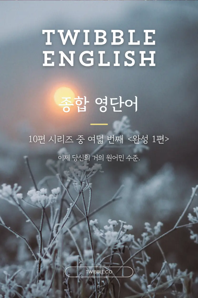 twibble 종합 영단어 (고급) 1