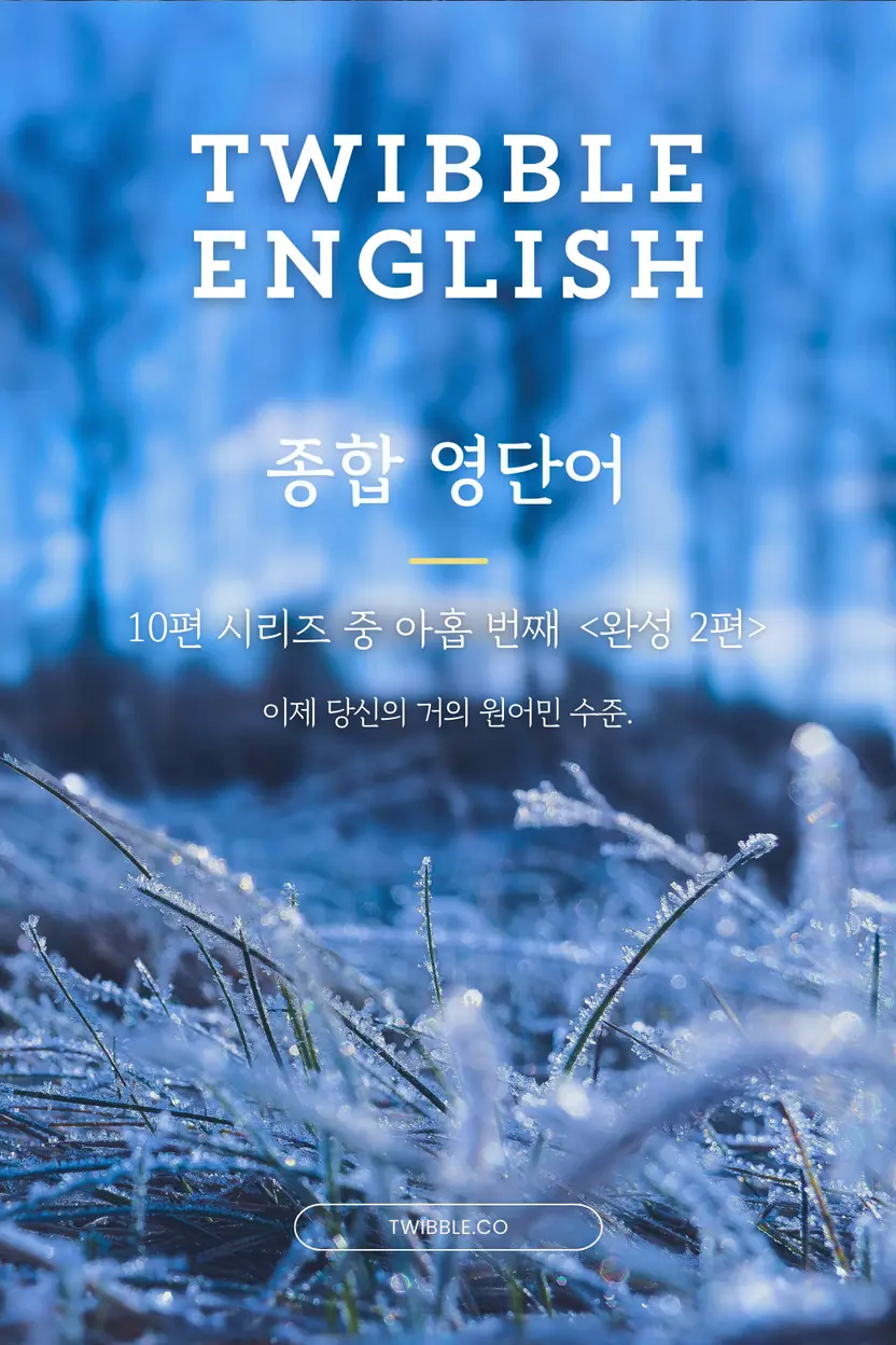 twibble 종합 영단어 (고급) 2