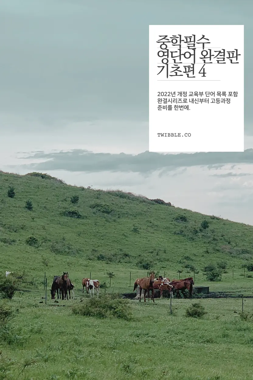 중학 필수 영단어 완결판 (4)