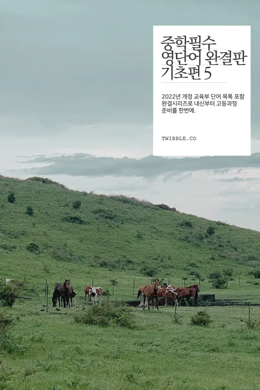 중학 필수 영단어 완결판 (5)